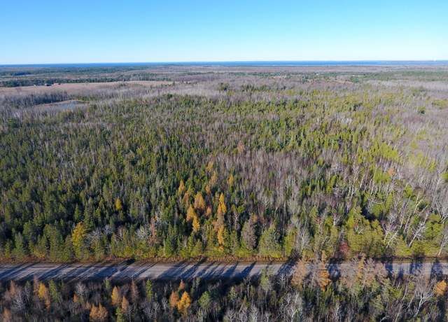 Property at 2801 E Gill Rd Unit 38+ Acres, Carp Lake, MI 49718