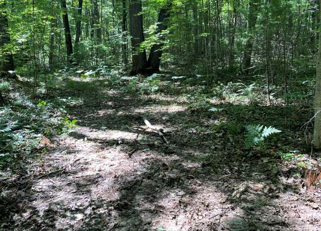 Property at Arthur St Unit 10 Lots, Topinabee, MI 49791
