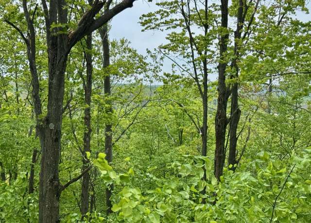 Property at 568 Alexander Rd, Vanderbilt, MI 49795