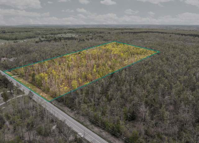 Property at Co Rd 491 Unit 20 Acres, Lewiston, MI 49756