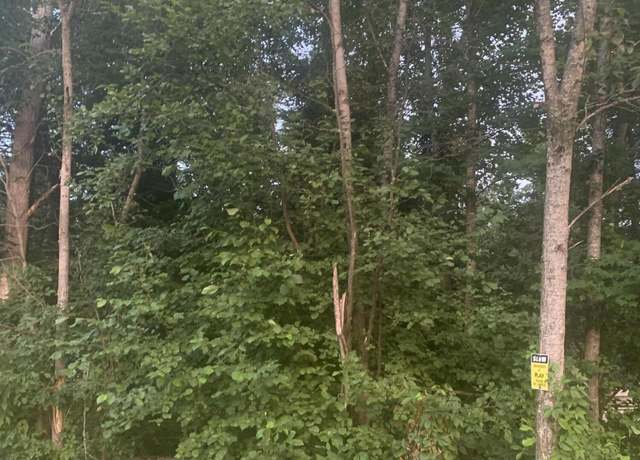 Property at Tamarack Ave, St. Helen, MI 48656