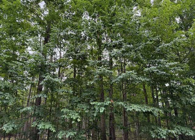 Property at 11175 Hassler Woods Trl, Alanson, MI 49706