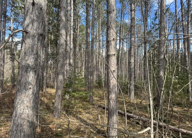 Property at 01 Sturgis Rd, Atlanta, MI 49709