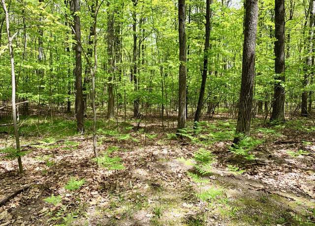 Property at Lots 1-8 Adams/roosevelt Blvd Unit & Lots 45-50, Roscommon, MI 48653