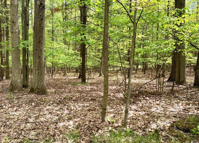 Property at Lots 10-15 Adams/roosevelt Blvd Unit & Lots 36-43, Roscommon, MI 48653