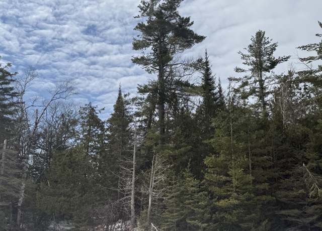 Property at 0 Huron Trl Lot 49, Cheboygan, MI 49721