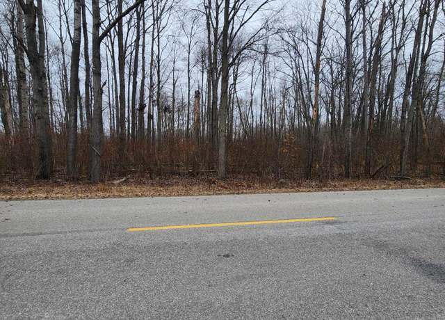 Property at Poor Farm Rd Lot 11 & 12, Greenbush, MI 48738