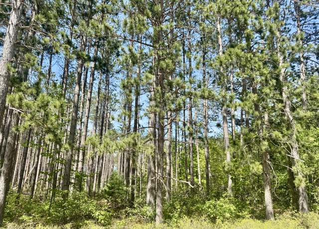 Property at 03 Sturgis Rd, Atlanta, MI 49709