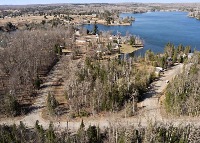 Property at 101 & 58 Lance Lake Rd, Wolverine, MI 49799