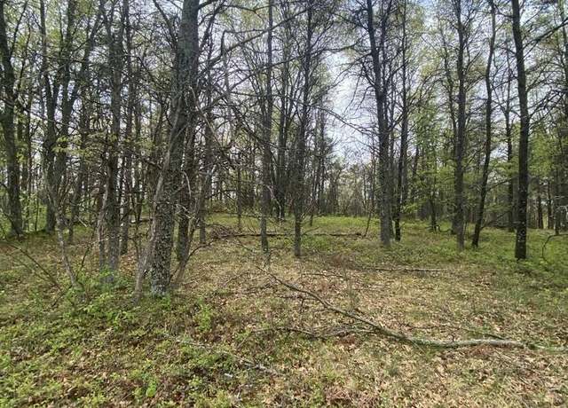 Property at Lots 5 & 6 Maple Ridge Rd, Mio, MI 48647