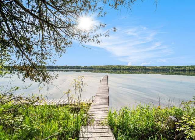 Property at 10222 W Munro Lake Dr, Levering, MI 49755