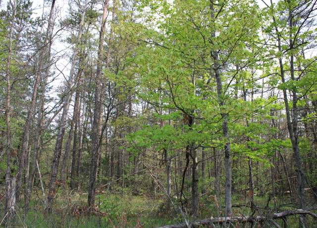 Property at Lot #7 Hughes Lake Rd, Rose City, MI 48654