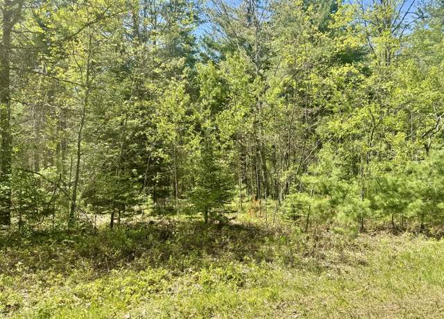 Property at 04 Sturgis Rd, Atlanta, MI 49709