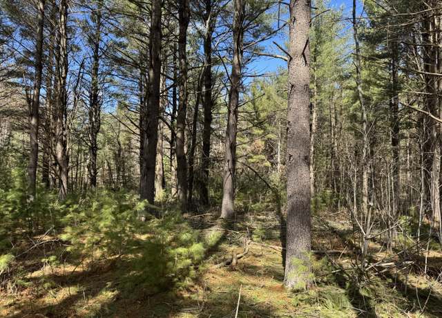 Property at 04 Sturgis Rd, Atlanta, MI 49709