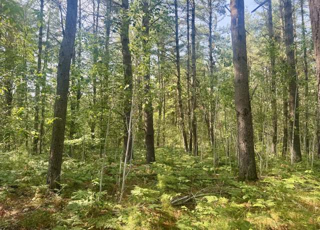 Property at Sturgis Rd, Atlanta, MI 49709
