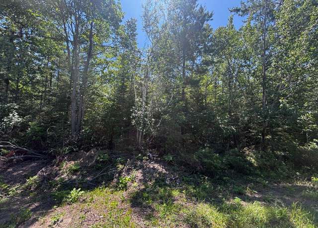 Property at NHN Pineview Dr, Presque Isle, MI 49777