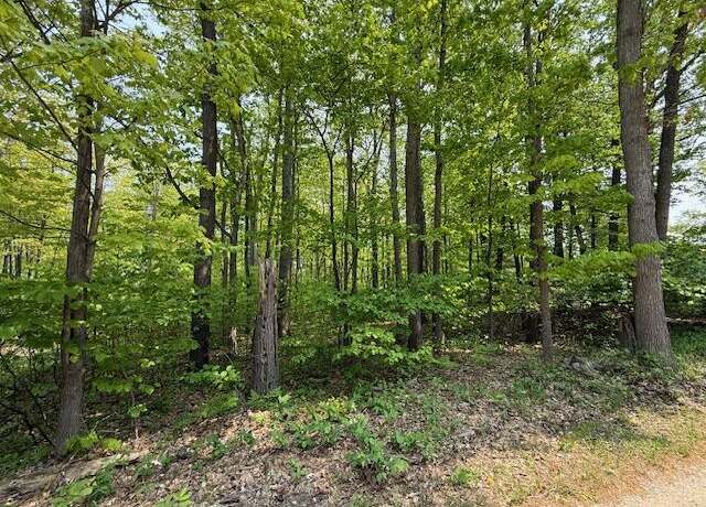 Property at 43 & 44 Jackson Blvd, Roscommon, MI 48653