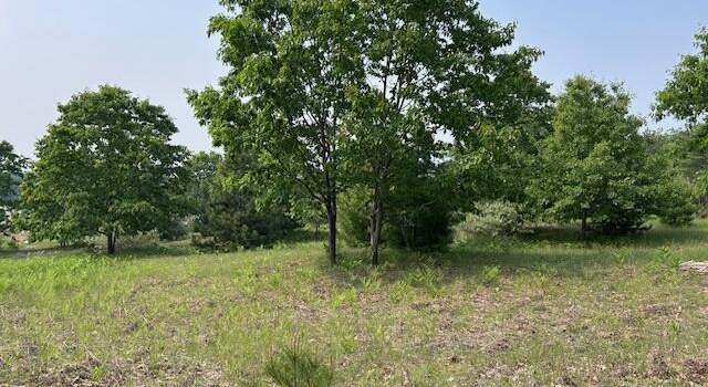 Photo of Thiem Rd, Herron, MI 49744