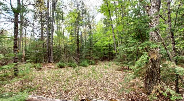 Photo of W Shore Dr Lot 103 & 104, Millersburg, MI 49759