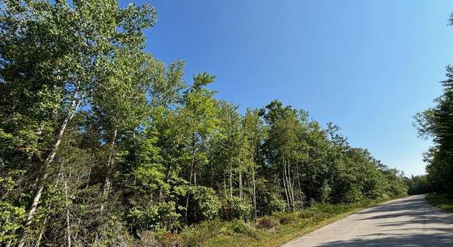 Photo of Pineview Dr Lot 229 & 230, Presque Isle, MI 49777