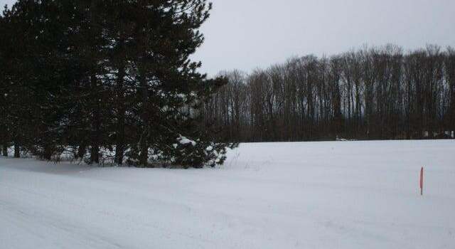 Photo of Mcmichael Rd, Alanson, MI 49706