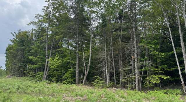 Photo of 52 acres Us2 Hwy, Moran, MI 49760