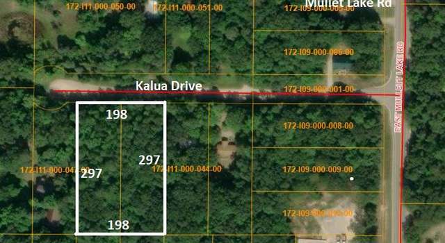 Photo of 4593& 4613 Kalua Dr, Indian River, MI 49749