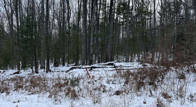 Photo of 551 Robin Hood Dr, Hubbard Lake, MI 49747