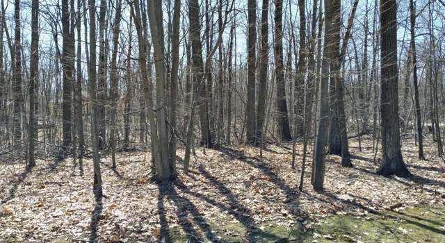 Photo of Lot 65 Louise Cir, Elmira, MI 49730