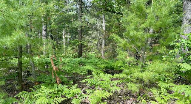 Photo of 14560 E Shoreline Dr, Wolverine, MI 49799