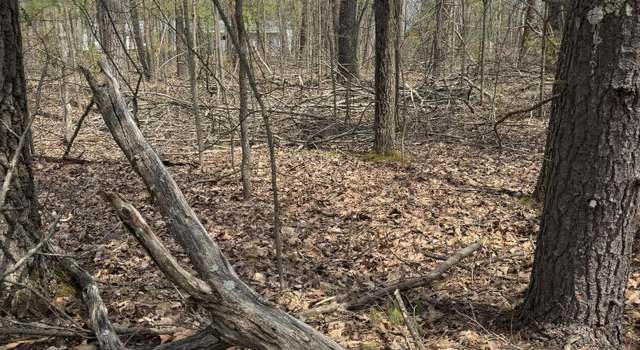 Photo of Lot 4 Birch St, Lewiston, MI 49756