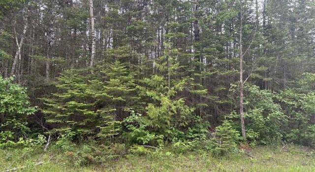 Photo of Lot 271 N North Bayshore Dr, Presque Isle Harbor, MI 49777