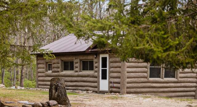 Photo of 24089 Ranch House Trl, Atlanta, MI 49709