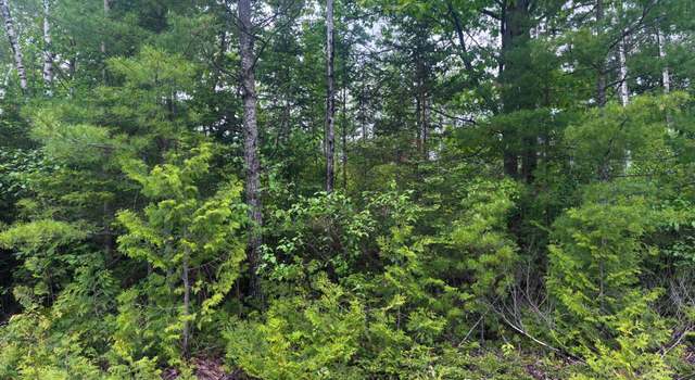 Photo of Lot 115 Bonita Dr, Presque Isle, MI 49777
