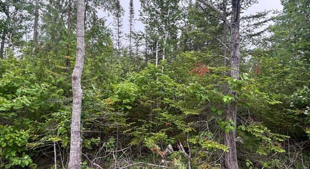 Photo of Lot 133 Laurel Hill Cir, Presque Isle, MI 49777
