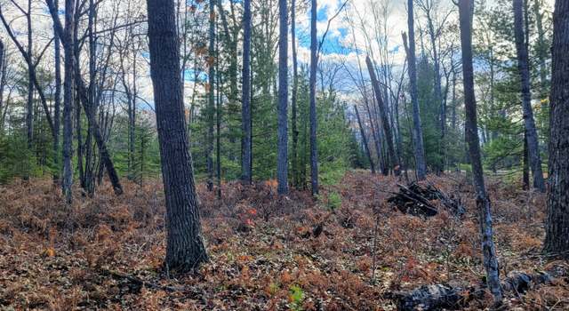 Photo of Lot # 8 Co Rd 646, Rogers City, MI 49779