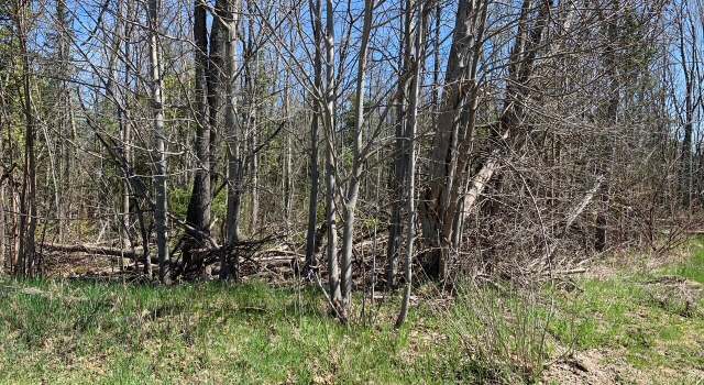 Photo of Lot 38 E Houghton Lake Dr, Houghton Lake, MI 48629
