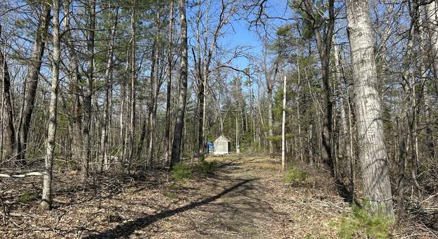 Photo of 10716 Culver Rd, Atlanta, MI 49709