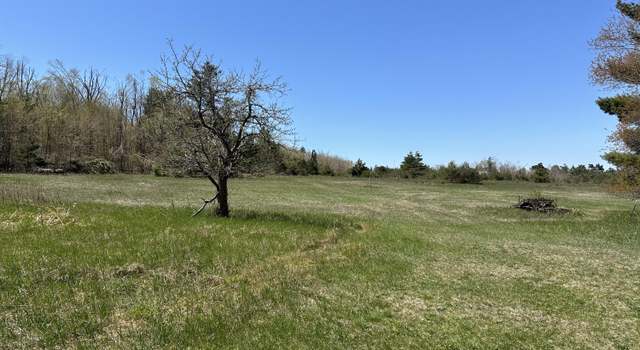 Photo of 000 Rustic Rd Unit 9.34 Acres, Petoskey, MI 49770