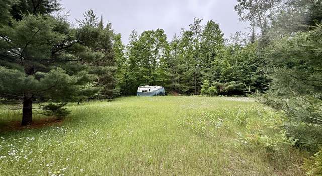 Photo of 16444 Cricket Trl, Wolverine, MI 49799