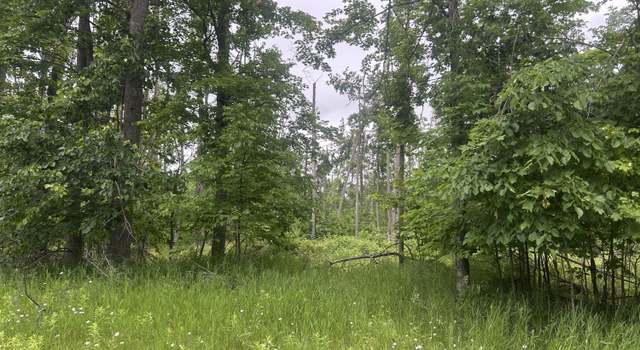 Photo of V/L Wheeler Rd, Chester Township, MI 49751
