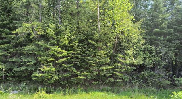 Photo of NHN M-68 Hwy, Rogers City, MI 49779