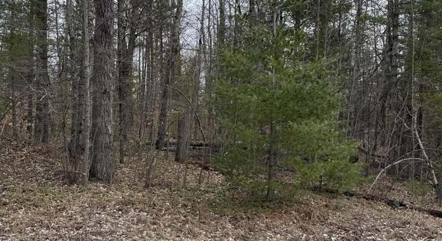 Photo of 16271 Timber Line Dr Lot 100, Wolverine, MI 49799