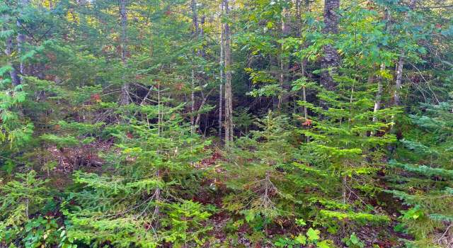 Photo of Renwick Cir, Presque Isle, MI 49777