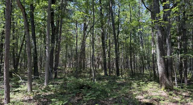 Photo of 6287 Waubun Rd, Indian River, MI 49749
