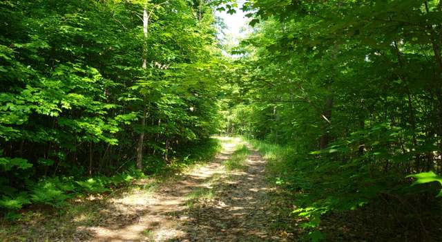 Photo of 4774 Michakewa Trl, Cheboygan, MI 49721