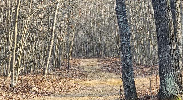 Photo of 00 E Kirche in The Woods Dr, Spruce, MI 48762