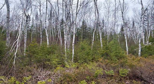 Photo of Wilderness Dr, Presque Isle, MI 49777