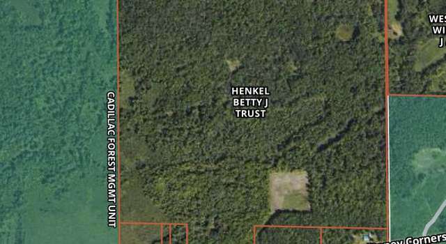 Photo of V/L E Stony Corners Rd, Falmouth, MI 49632