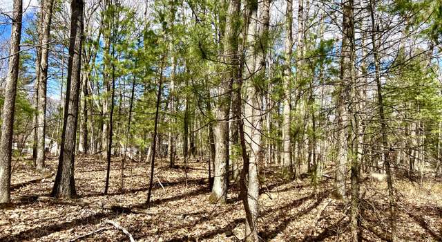 Photo of Dick Lots 5, 6, 7, 28, 29,30, Blk 4 St, Topinabee, MI 49791